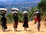 Buy Local Women Carrying Charcoal in Bundles on their Heads at AllPosters.com