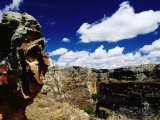 Buy Lichen-Covered Rocky Landscape at AllPosters.com