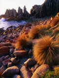 Buy Cape Woolamai Fauna Reserve at AllPosters.com