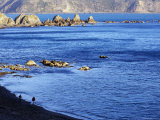 Breaker Bay, with Couple Walking Along the Black Sand Beach