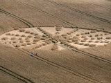 Buy Aerial of Crop Circle at AllPosters.com