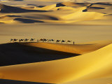 Tuareg Nomads with Camels in Sand Dunes of Sahara Desert, Arakou