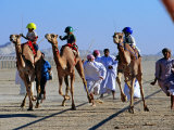 Buy Children Racing Camels at AllPosters.com