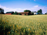 Buy Farmland in Eastern Norway at AllPosters.com