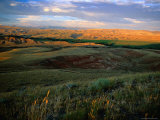 Buy Grasslands and Rolling Hills in the Late Afternoon Sunlight at AllPosters.com