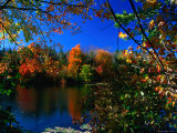 Buy Autumn in the Middlebury Nature Reserve at AllPosters.com