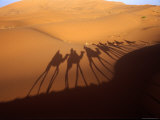 Buy Camel Trek Casts a Line of Shadows onto the Immense Sand Dunes of the Erg Chebbi Near Merzouga at AllPosters.com