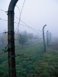 Barbed Wire Fence at the Buchenwald Concentration Camp, 10 KMs North of Weimar, Germany