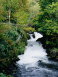 Stream and Small Waterfall in the Snowdonia National Park