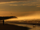 Buy Seaspray, a Man and His Dog and Another Day Ends at 13th Beach at Barwon Heads at AllPosters.com