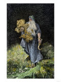 Buy Druid Carrying Mistletoe and a Sickle at AllPosters.com