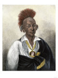 Chief Black Hawk