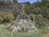 Apache Wickiup Reconstructed Along the White River, Fort Apache Reservation, Arizona