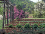 Buy Vegetable Garden at Monticello, Thomas Jefferson's Home in Charlottesville, Virginia at AllPosters.com