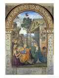Buy Adoration of the Shepherds at AllPosters.com