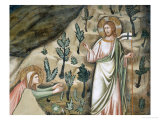 Buy Scenes from the Life of Mary Magdalen: Noli Me Tangere at AllPosters.com