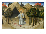 Saint Jerome in the Wilderness