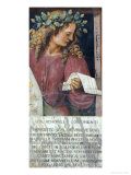 Buy Tibullo at AllPosters.com