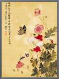 Corn Poppy and Butterflies, 1702