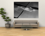 Buy Swimmer Jeanne Wilson Underwater at AllPosters.com