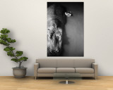 Mother Hippo 