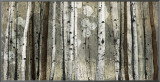 Buy Silver Lining at AllPosters.com