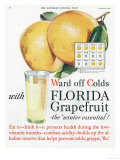 Buy Florida Grapefruit, Colds Flu Fruit, USA, 1920 at AllPosters.com