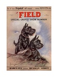 Dogs, UK, 1930