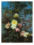 Buy Roses, 1880 at AllPosters.com