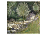 Buy Niagara River Rapids at AllPosters.com