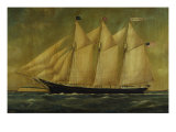 Buy The Clipper William Mason at AllPosters.com