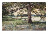 Pelham Bay Park, NYC, 1884
