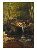 Thompson Cascade, White Mountains