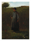 The Flowers of the Field