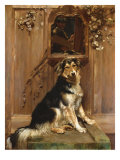 Buy Dog and a Mirror, 1896 at AllPosters.com