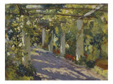 Sun Dappled Garden with Trellis