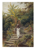 Watercarrier, 1879