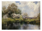 Apple Trees in Blossom