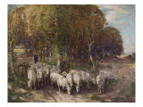 Buy Driving the Flock at AllPosters.com