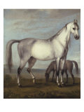 Buy Grey Mare and a Foal in an Extensive Hilly Landscape, 18th Century at AllPosters.com