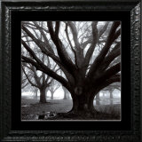 Buy Oak Grove, Winter at AllPosters.com