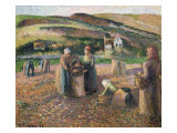 Picking Potatoes. La Recolte Des Pommes de Terre, 1893