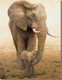 Momma's Boy
