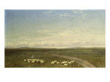 Buy Landscape in Carneiros, Paisaje Con Carneiros at AllPosters.com