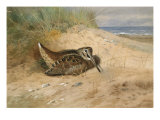 Buy In from the North Sea, 1898 at AllPosters.com
