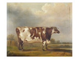 Buy Wildair' an Eight-Year-Old Heifer in a River Landscape, 1827 at AllPosters.com