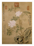 Buy Peonies and Rock, Summer of Quisi Year of the Guangxu Era at AllPosters.com