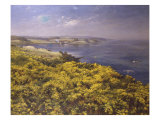 Summer on the Firth of Fourth