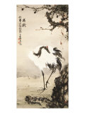 Buy Crane under a Pine Tree at AllPosters.com