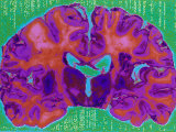 Buy Dr. Reading Catscans at AllPosters.com
